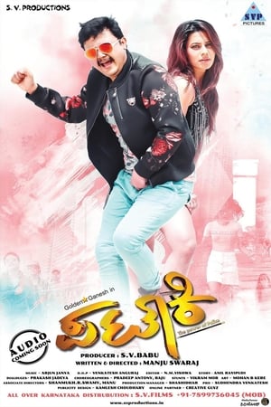 Pataki 2017 Dual Audio Hindi 450MB Movie Poster