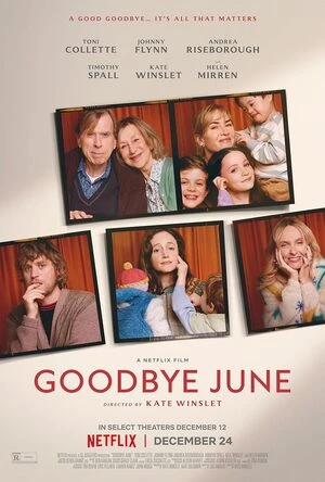 Goodbye June 2025 Hindi Dual Audio Movie Poster
