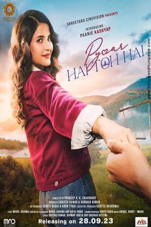 Pyaar Hai Toh Hai 2023 Hindi DVDScr – Movie Poster