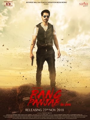 Rang Panjab (2018) Punjabi Movie – [350MB] Movie Poster