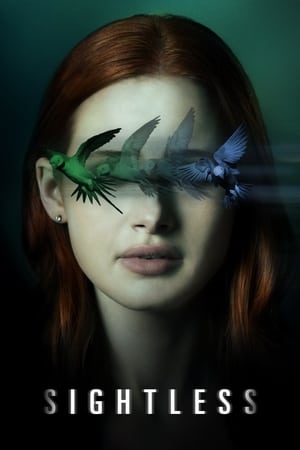 Sightless 2020 Hindi Dual Audio [800MB] Movie Poster